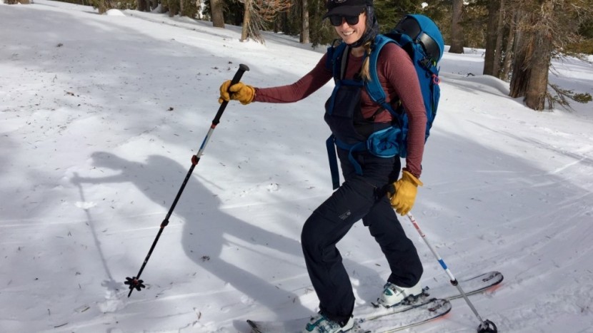 backcountry ski poles - the black diamond expedition 3, left, is the best budget pole for...