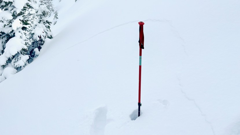 backcountry ski poles - the black diamond traverse isn't as good as it used to be, but it's...