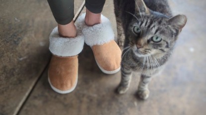 Lead photo for Best Women's Slippers