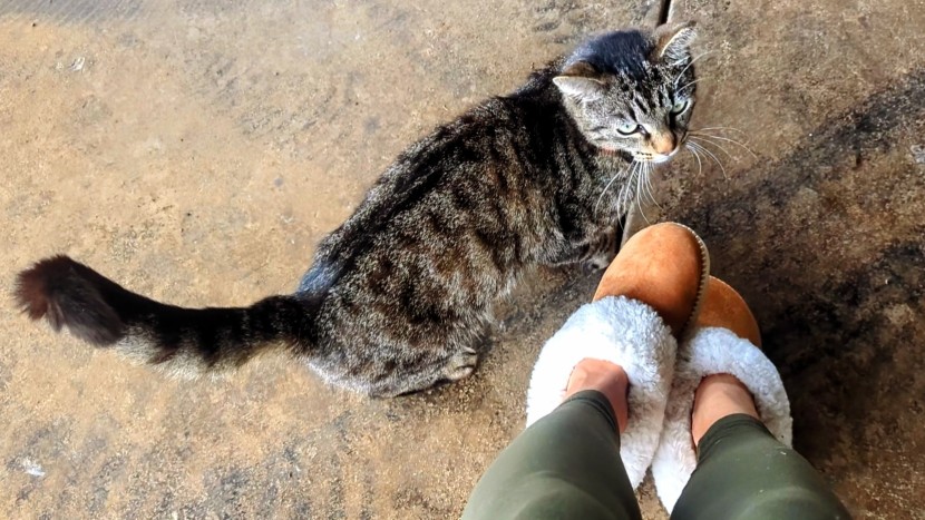 slippers womens - fleece lines the upper foot while the footbed is a thin, felted wool...