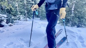 backcountry ski poles