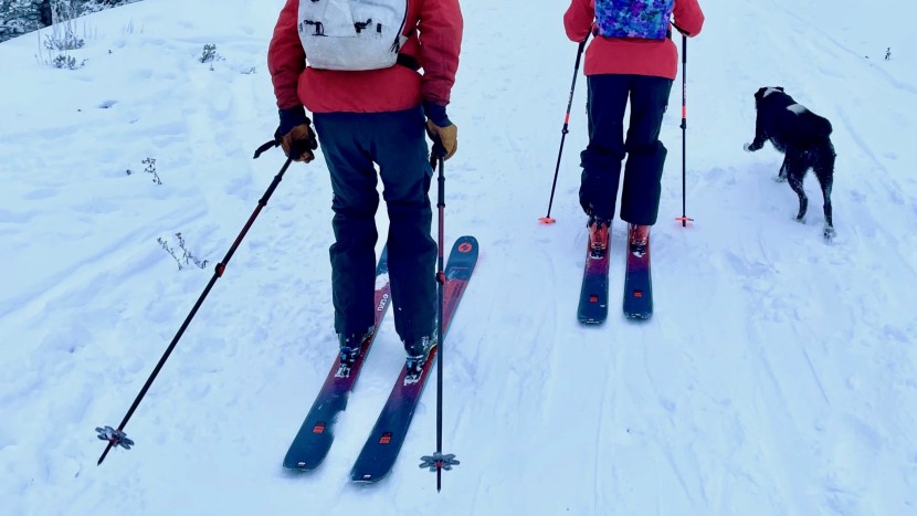 backcountry ski poles - our testers comparing poles side by side in the wyoming backcountry...