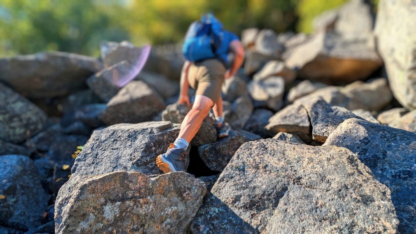 scampering up a bolder field in acadia national park. the ferrosi's...