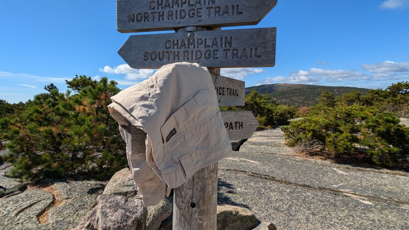 hiking shorts - quick-drying fabric and decent pockets were key to the columbia's...