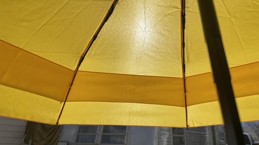 the sin shines brightly through this yellow canopy, which isn't the...