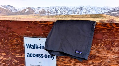 Lead photo for Patagonia Baggies Longs Shorts