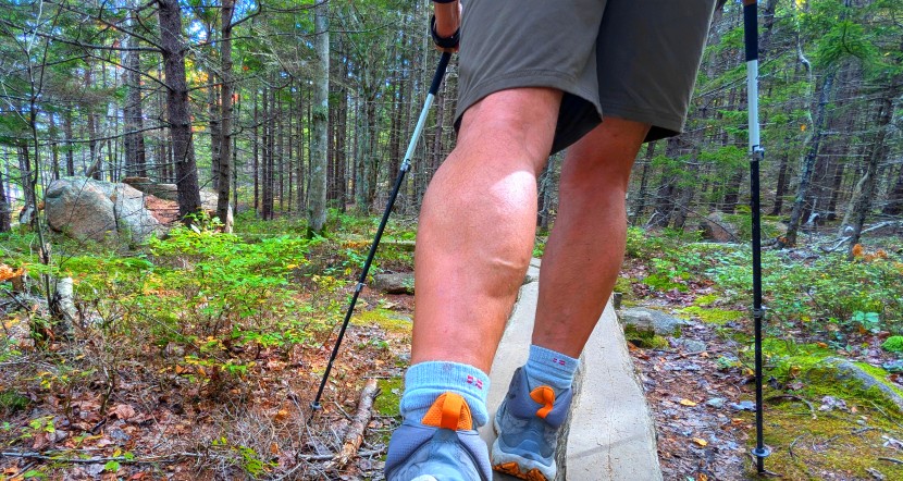 hiking shorts - for stretch-nylon, the prana brion ii dries quickly, breathes well...
