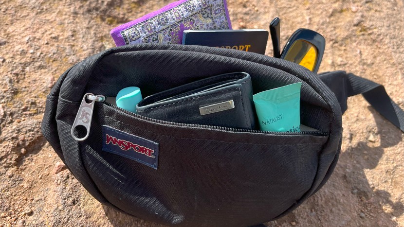 fanny pack - we love that the classic jansport fifth ave can also fit anything...