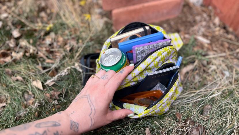 fanny pack - we fit everything we needed in our baggu fanny, making it a great...