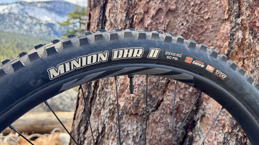 the minion dhr is tried and true; this tire provides all-season grip...