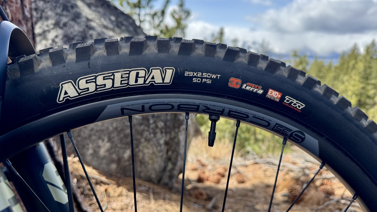Maxxis Assegai Review (Assegai EXO+ provides outrageous traction mounted to 35mm rims; this tire gives the bike incredible cornering...)
