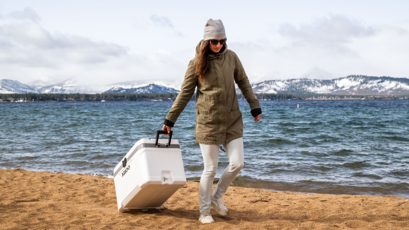 cooler - although the igloo marine ultra is a large capacity cooler, it's...