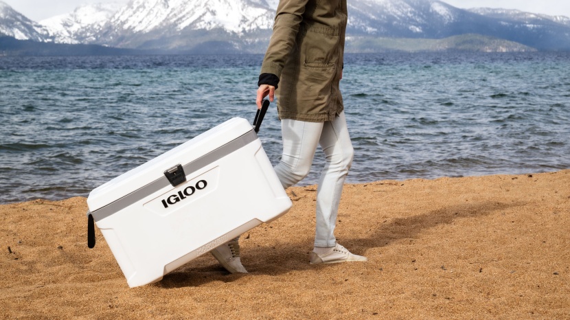 igloo marine ultra 70 - the swing-up handles of the marine ultra 70 make it easy to tug and...