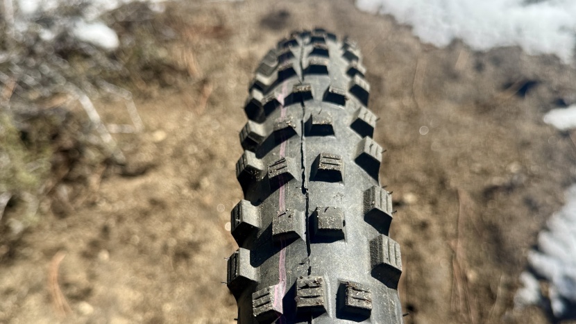 schwalbe magic mary radial trail pro - while the general profile is round, you have to look past the...