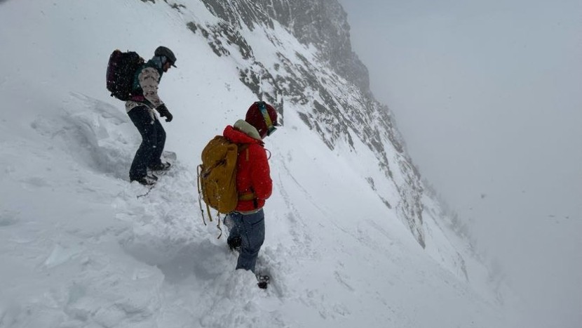 cardiff goat pro carbon splitboard - when you're getting ready to drop in on deep powder days, you'll be...