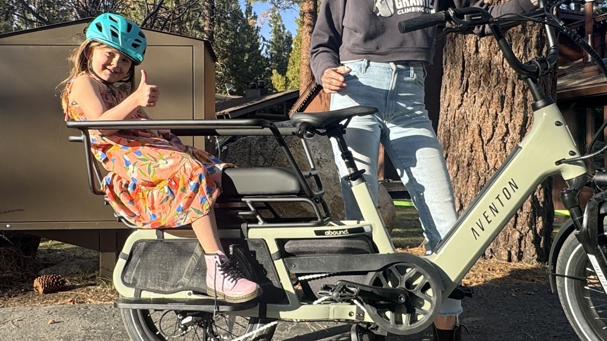 Best Cargo Ebike Review (Increased enjoyment is an unspoken benefit of cargo bikes.)