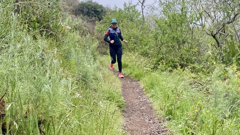 brooks catamount 4 for women - the catamount offers a lot to love, though it is far from a perfect...