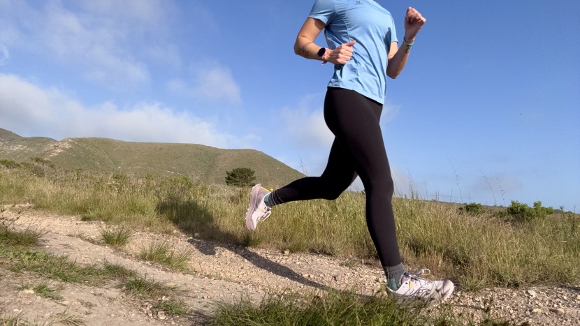 the peregrine is strong enough to withstand the demands of short...