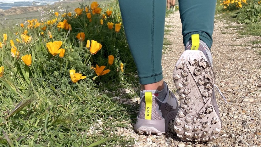 the peregrine 15 is a trail shoe that we can't stop reaching for...