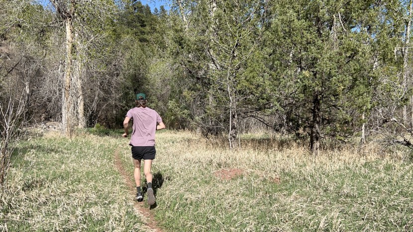 available for less than some of the other high-scoring options, the...