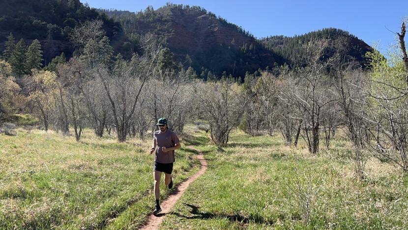 available for less than some of the other high-scoring options, the...