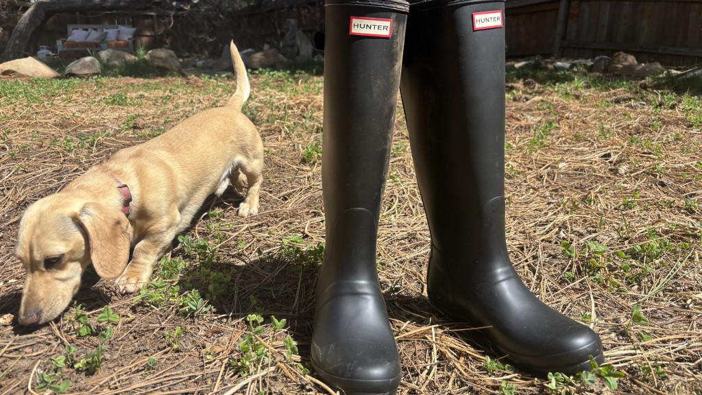 Hunter Original Back Adjustable Tall - Women's Review | Tested