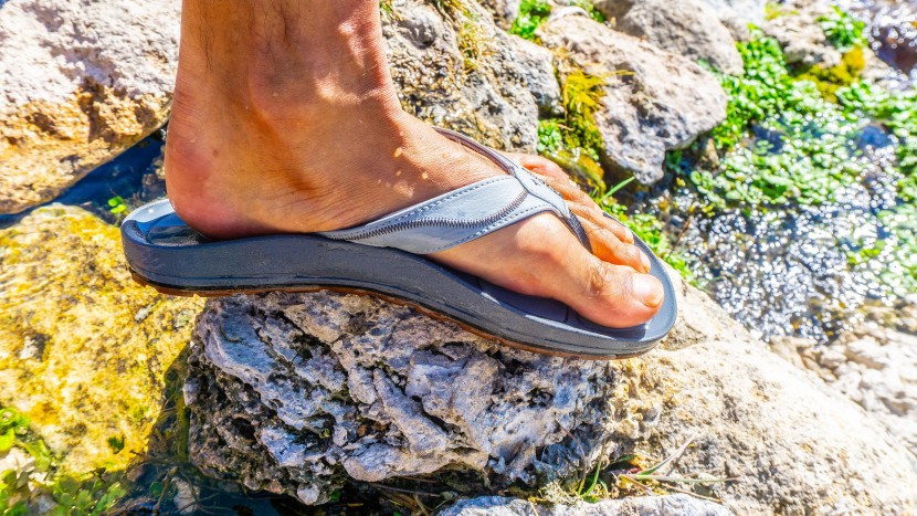 astral filipe - while there isn't much of an arch to speak of, the raised edges of...