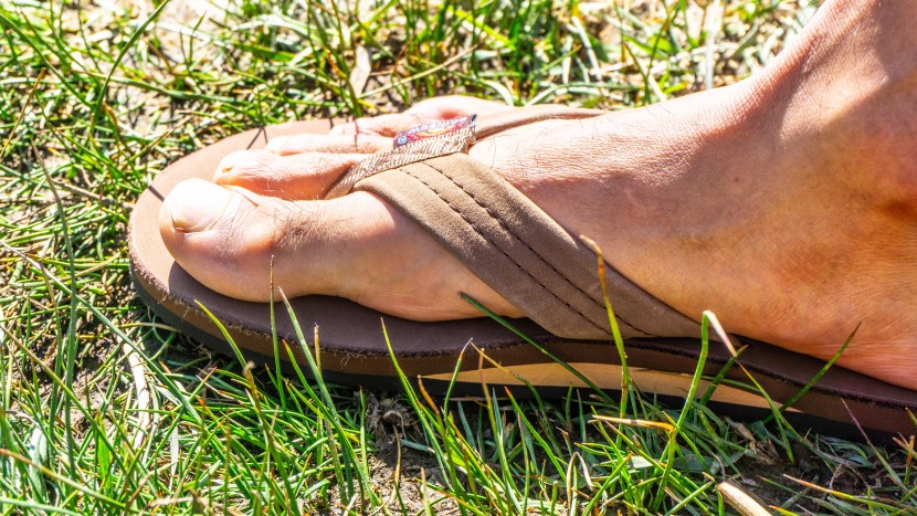 rainbow single layer premier - the single layer version of this flip flop wasn't the most...