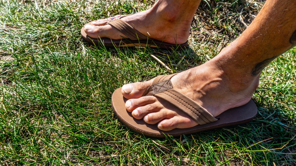 rainbow single layer premier - options like these rainbows make our extensive testing process a...