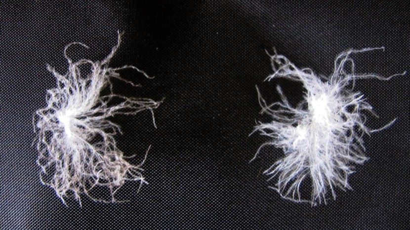 backpacking sleeping bag - the same weight and fill power of duck down (left) and goose down...