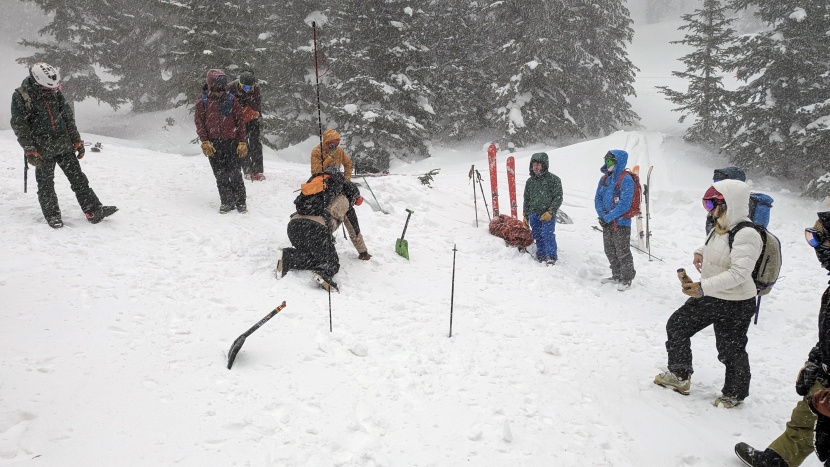 pieps pro ips - here, we're demonstrating the nuances of a fine search during an...