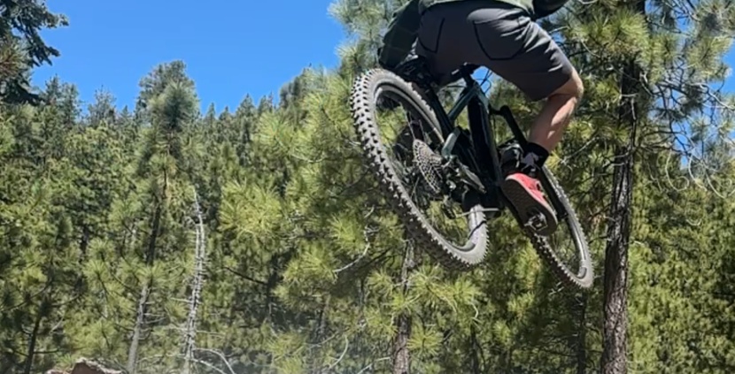 the vala's playful nature makes it hard to keep on the ground.