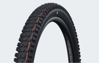 schwalbe albert radial trail pro