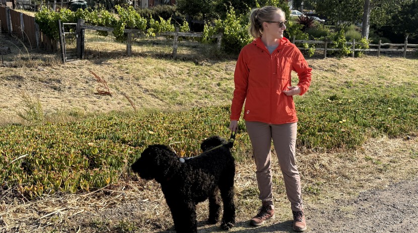 wind breaker jacket womens - the fjallraven high coast delivers standout style, excellent wind...