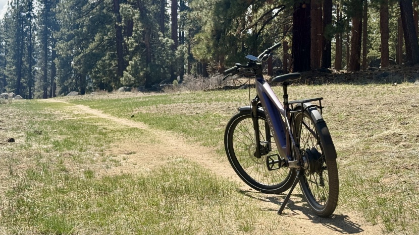 aventon level 3 - while the design favors paved pathways, the level 3 did a great job...