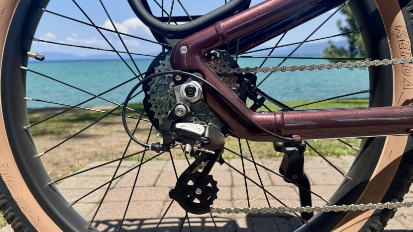 an excellent choice of drivetrain for this bike.