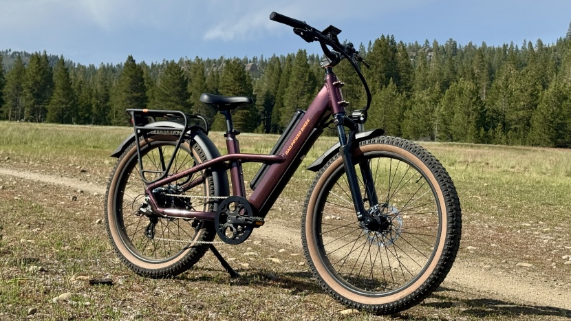 rad power radster trail - the radster is down for adventure but perfectly suited for the bike...