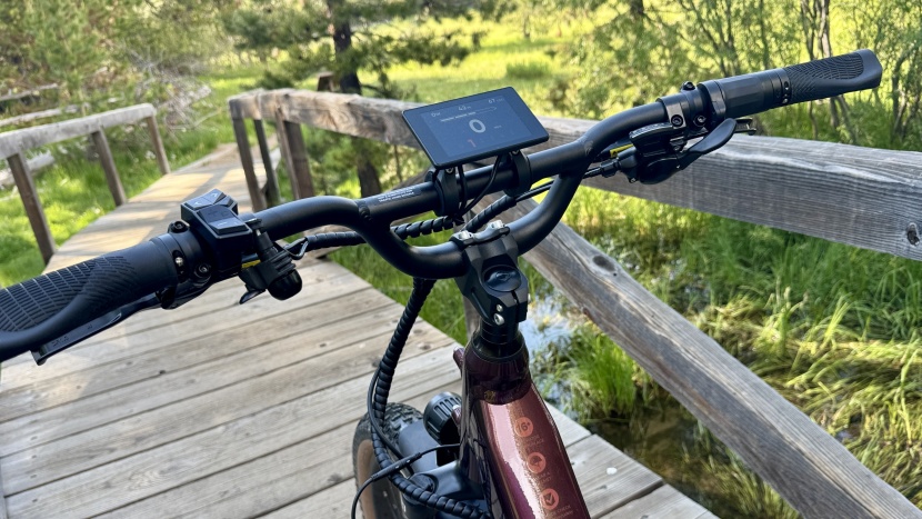 cargo bike - all of the current rad power displays are quite impressive.