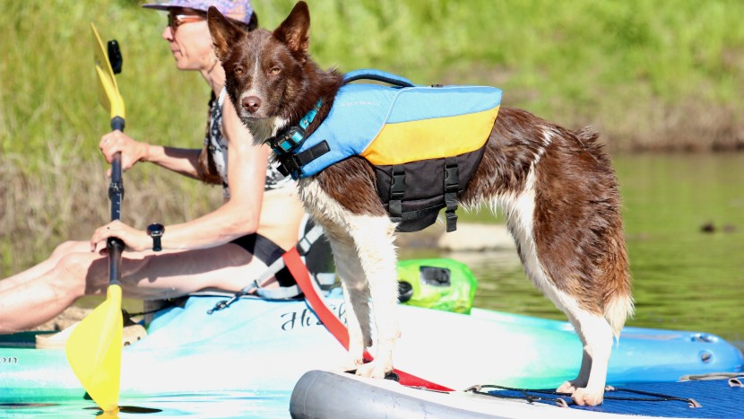 kayak - stability is extra important for carrying cargo or additional...