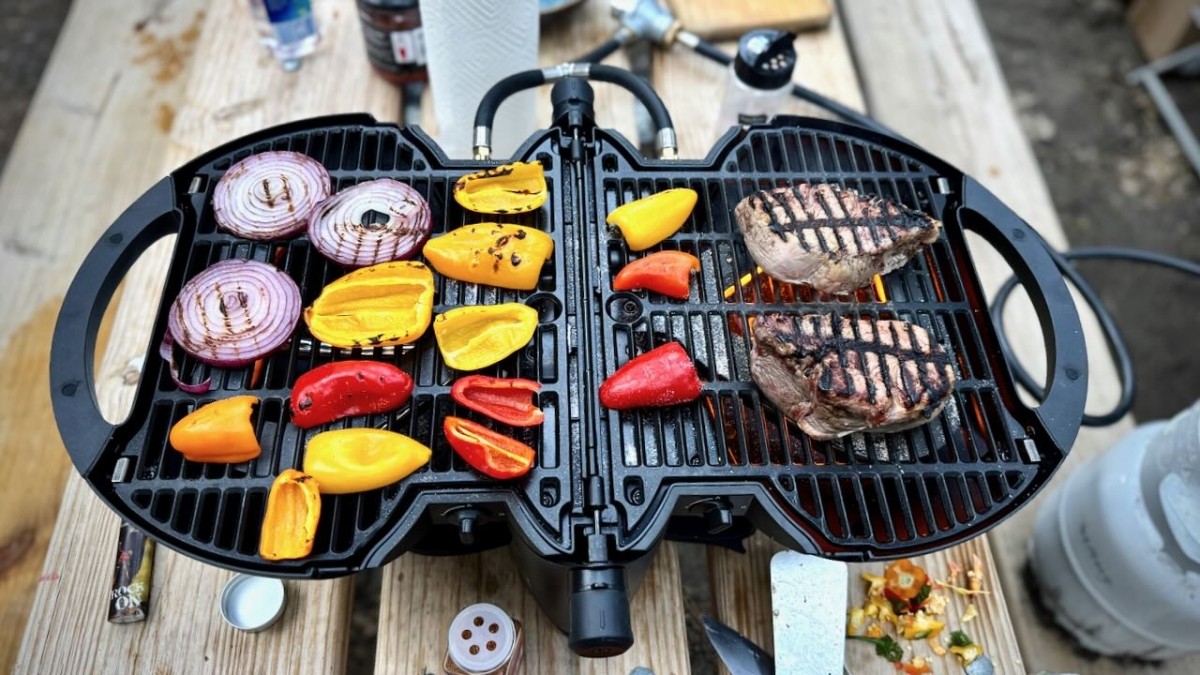 nomadiQ Review (Some grills provide more cooking area than others, which allows you to prepare food for small groups with ease.)