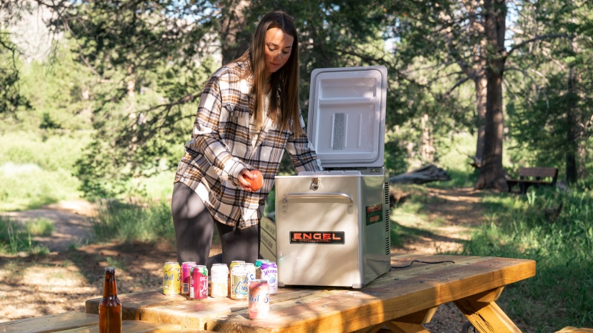 engel mt45 combination platinum series - while the mt45 is one of the noisier coolers we tested, we don't...