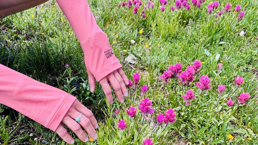 mountain hardwear crater lake long sleeve hoody for women - the long sleeves and comfortable thumb holes provide great back of...