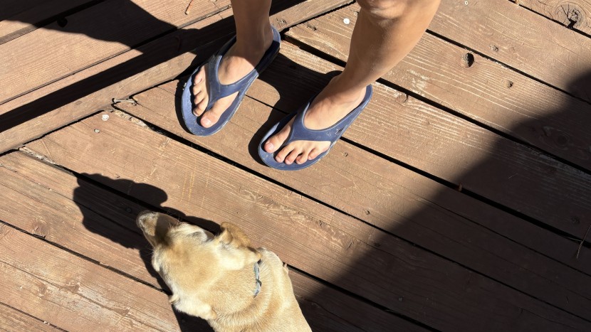 sandals - flip flops are a great class of sandal for more casual adventures.