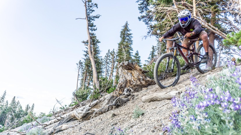 fox racing proframe rs - even as we got more chattery on our descents, the proframe remained...