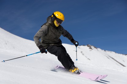 Lead photo for DPS Wailer 100