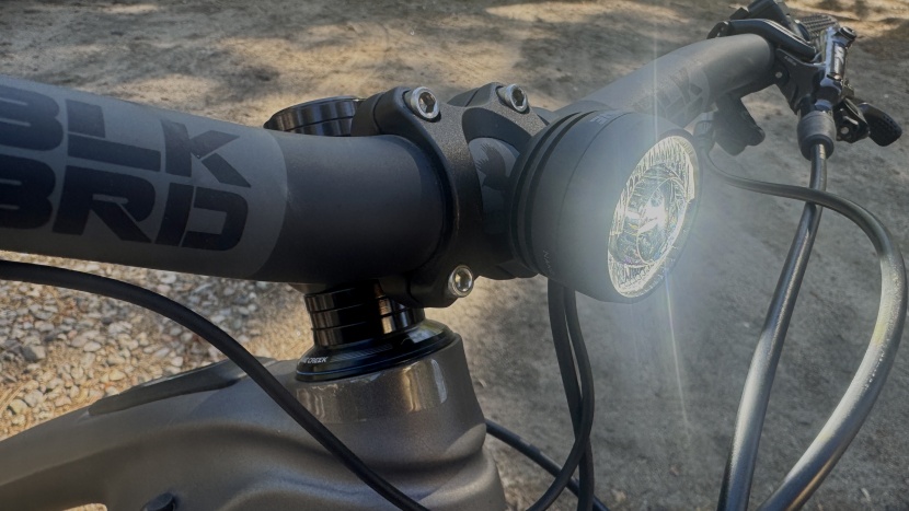 this little lupine lamp requires a bit of wiring, but dishes out 900...