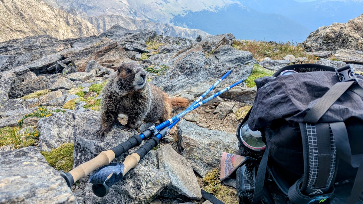 Trekology Trek-Z 2.0 Review (The Trek-Z 2.0 grips feel fantastic! Just remember to keep your poles safe above tree line, as the salts from your...)