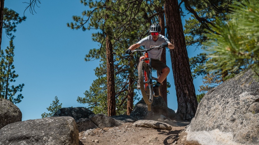 specialized turbo levo 4 comp - the levo is an excellent bike with a high fun factor.