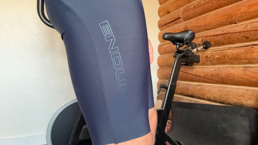 bike shorts men - the reflective logos on the pro sl are understated but classy.