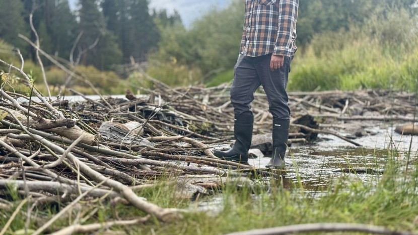 baffin enduro - you'll have fun exploring in the enduros.